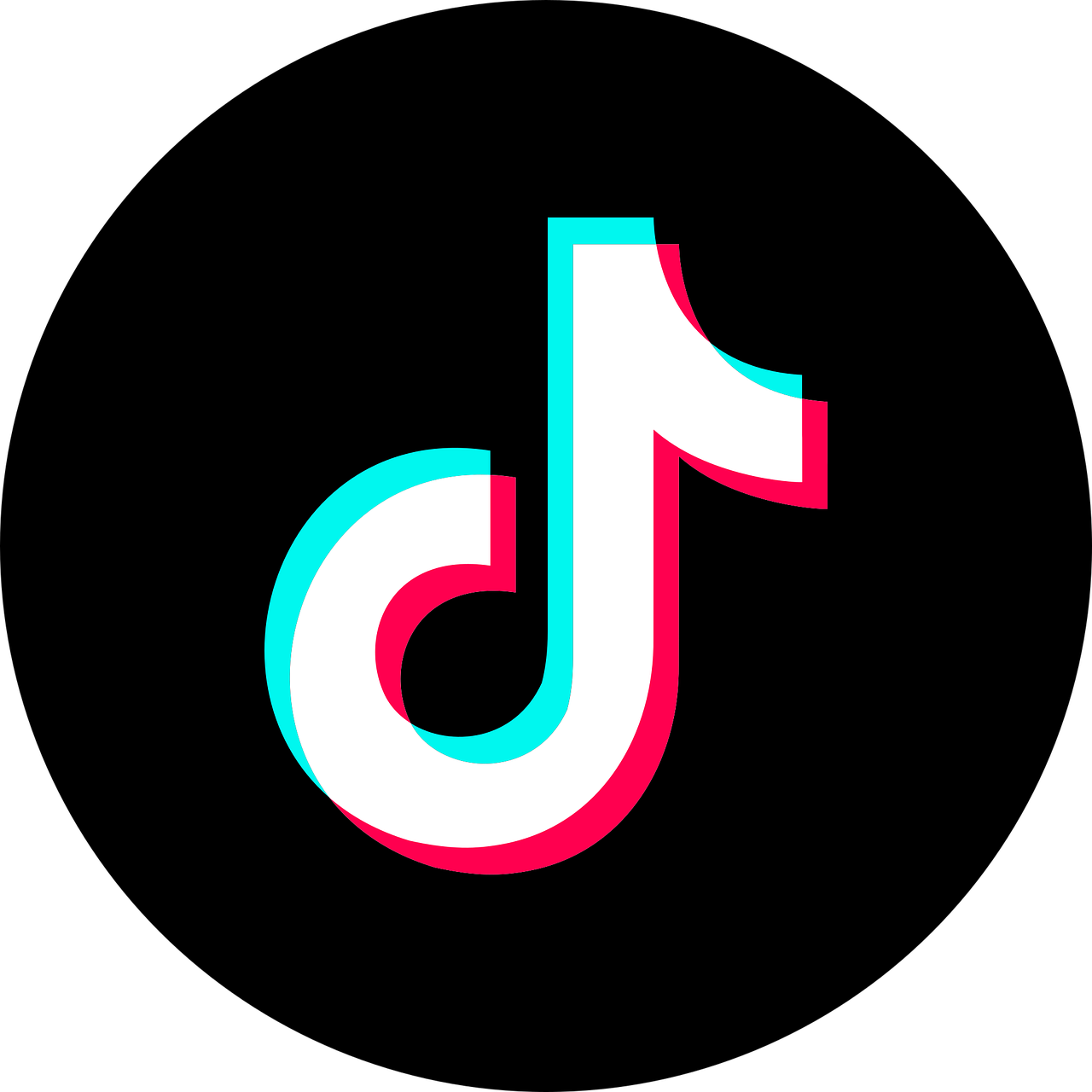 TikTok Timestamp