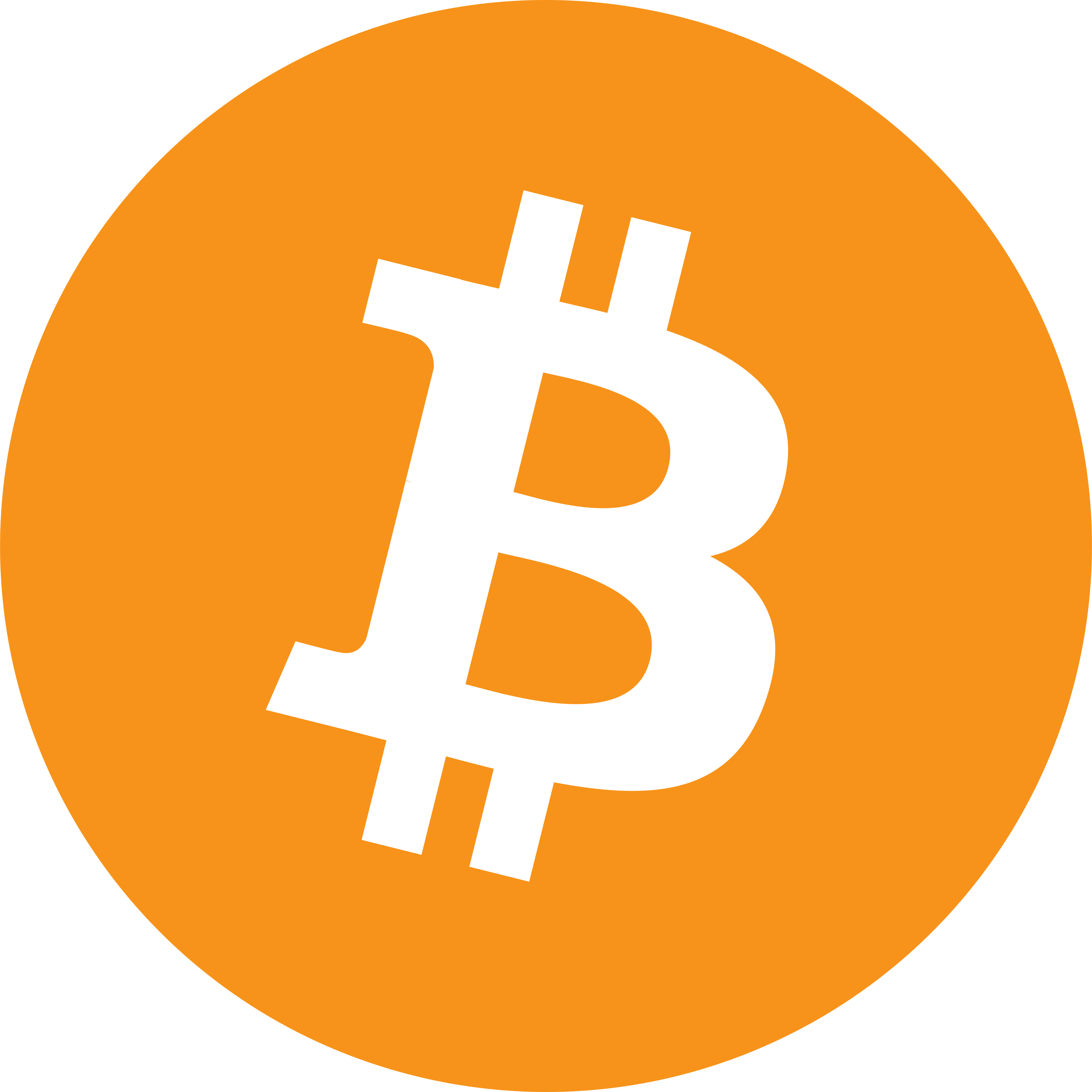 Bitcoin Wallet OSINT