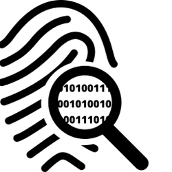 Phone OSINT