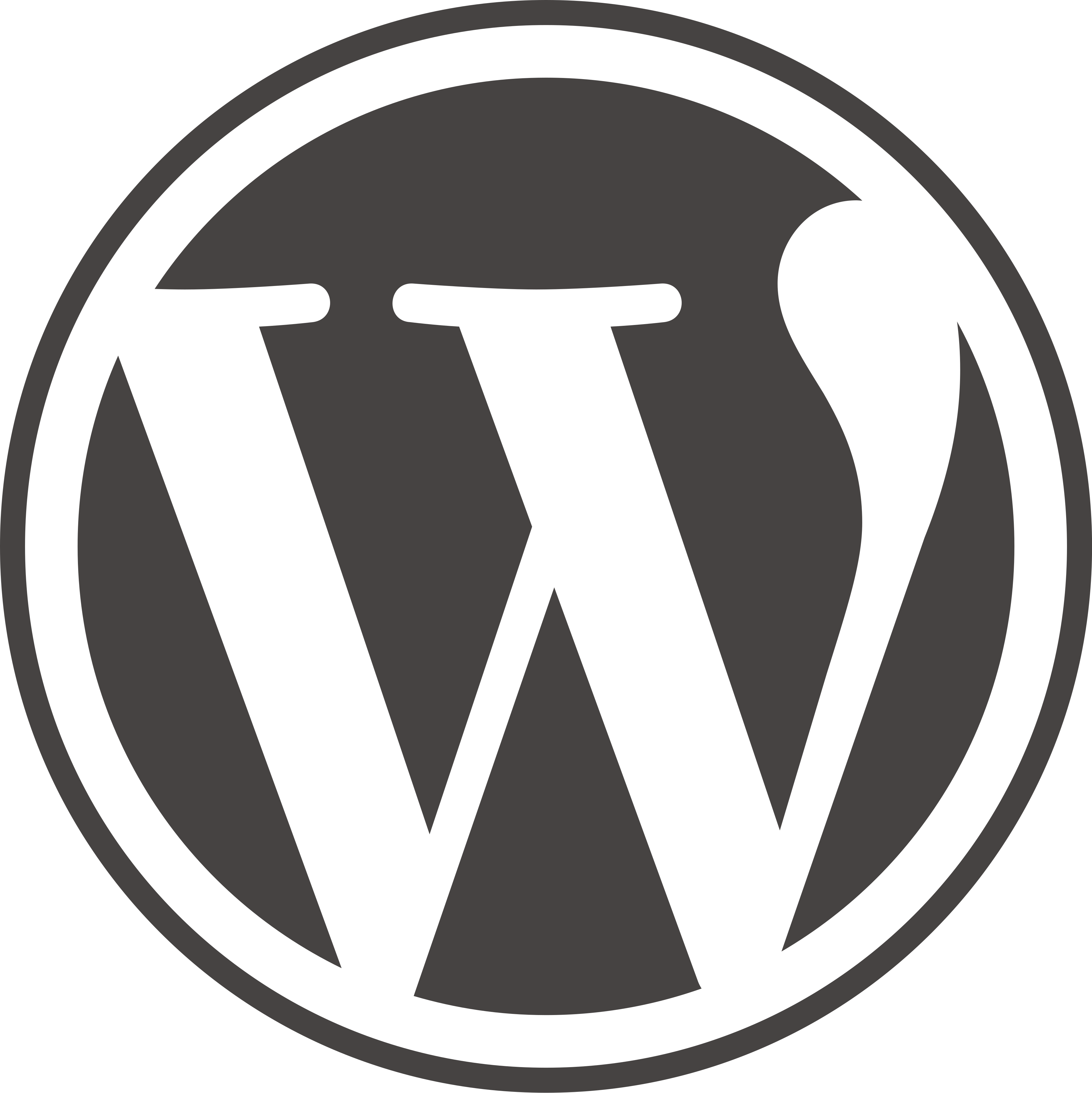 WPIntel Pro